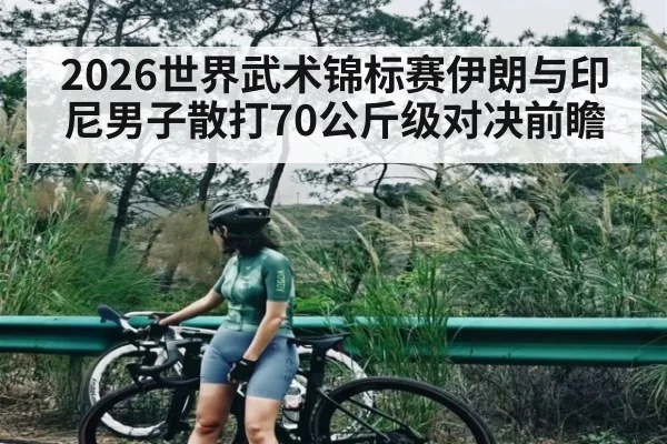 2026世界武术锦标赛伊朗与印尼男子散打70公斤级对决前瞻